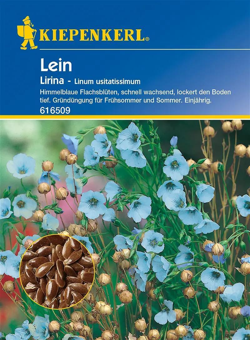 Gründünger Blauer Lein | Gründünger von Kiepenkerl 616509
