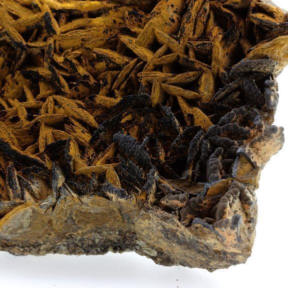 A Bijoux Pyrolusit und Goethit auf Siderit 2140,1 Karat SKU016551