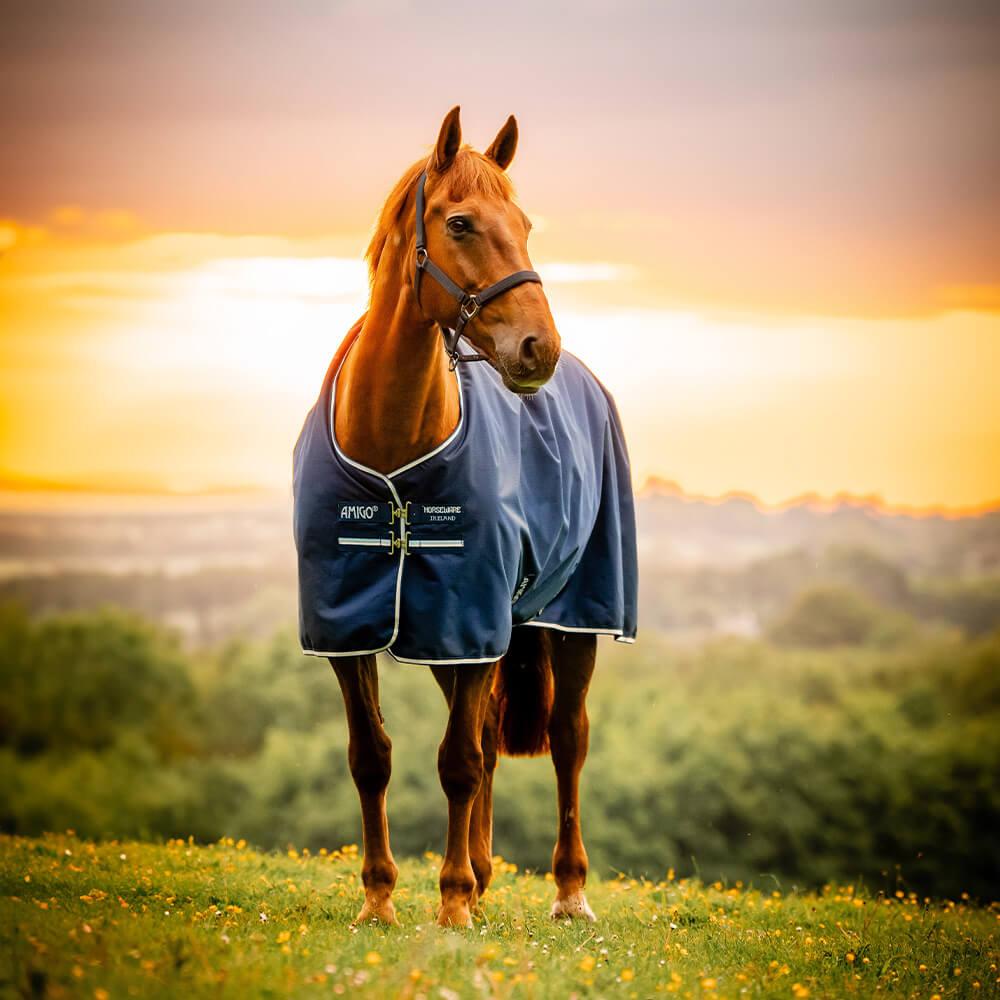 Horseware Amigo Ripstop 900D Turnout 200g AARAG4-BJJ0-81