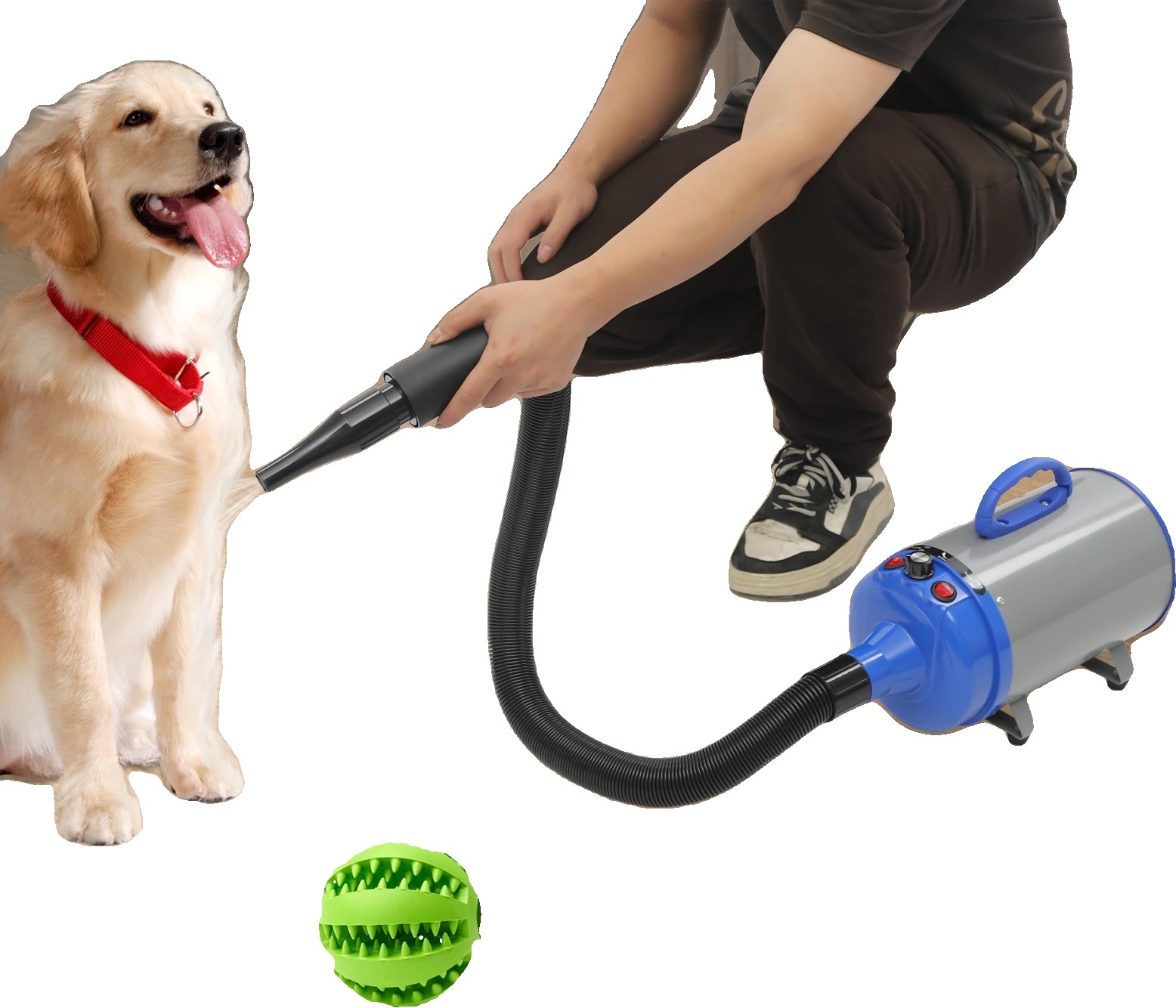 2200W fén na vlasy pre domáce zvieratá, nastaviteľná teplota, viacero možností voľby trysiek, modrý