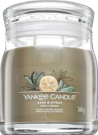 Yankee Candle Bougie parfumée Praline & Birch 567 g - Parfums et Moi - Parfumerie haut de gamme