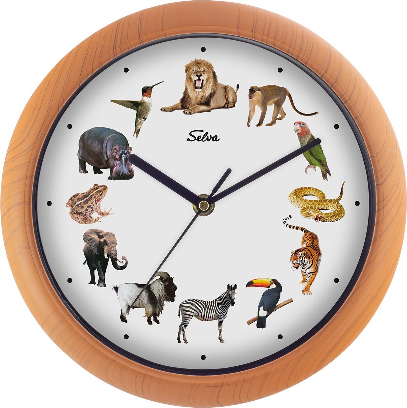 SELVA Tieruhr, mit Tierlauten und Illustrationen, aus Kunststoff, Holzoptik
