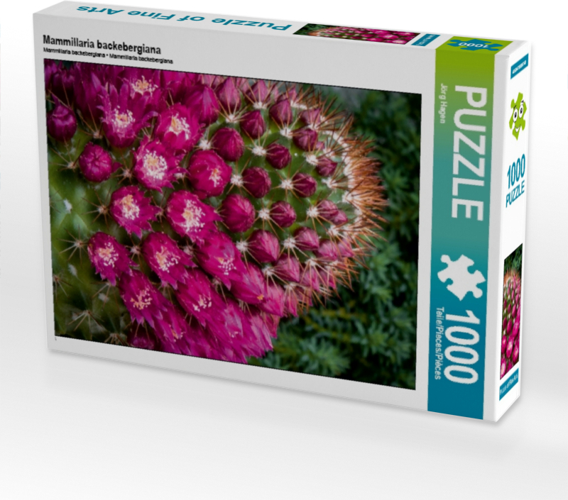 Calvendo Mammillaria backebergiana 1000 Teile Puzzle hoch 480x640mm, Hagen Jörg; 7455759
