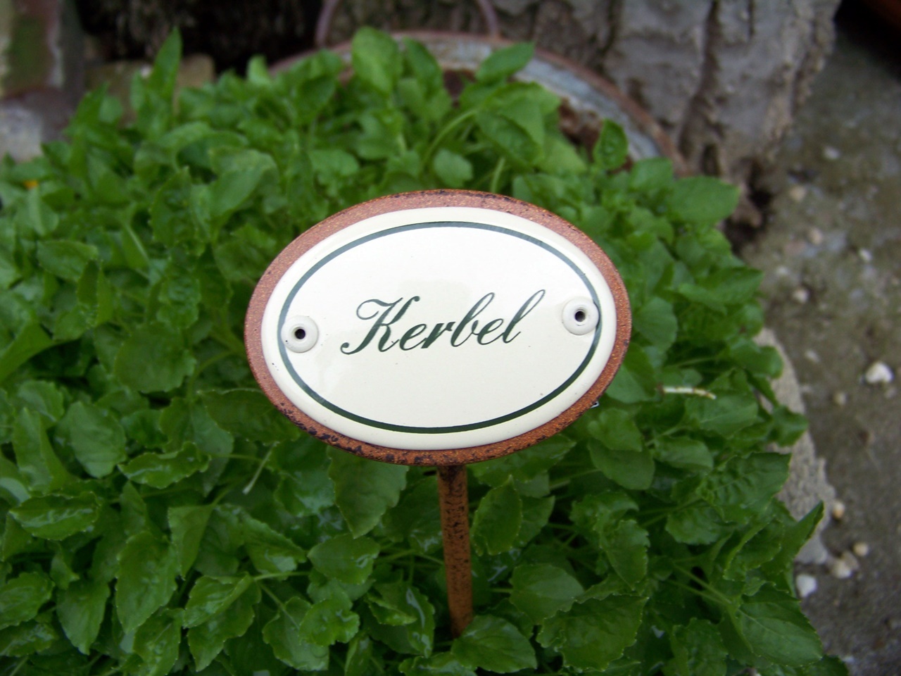 Münder Email Kräuternamenschild Emaille Kerbel