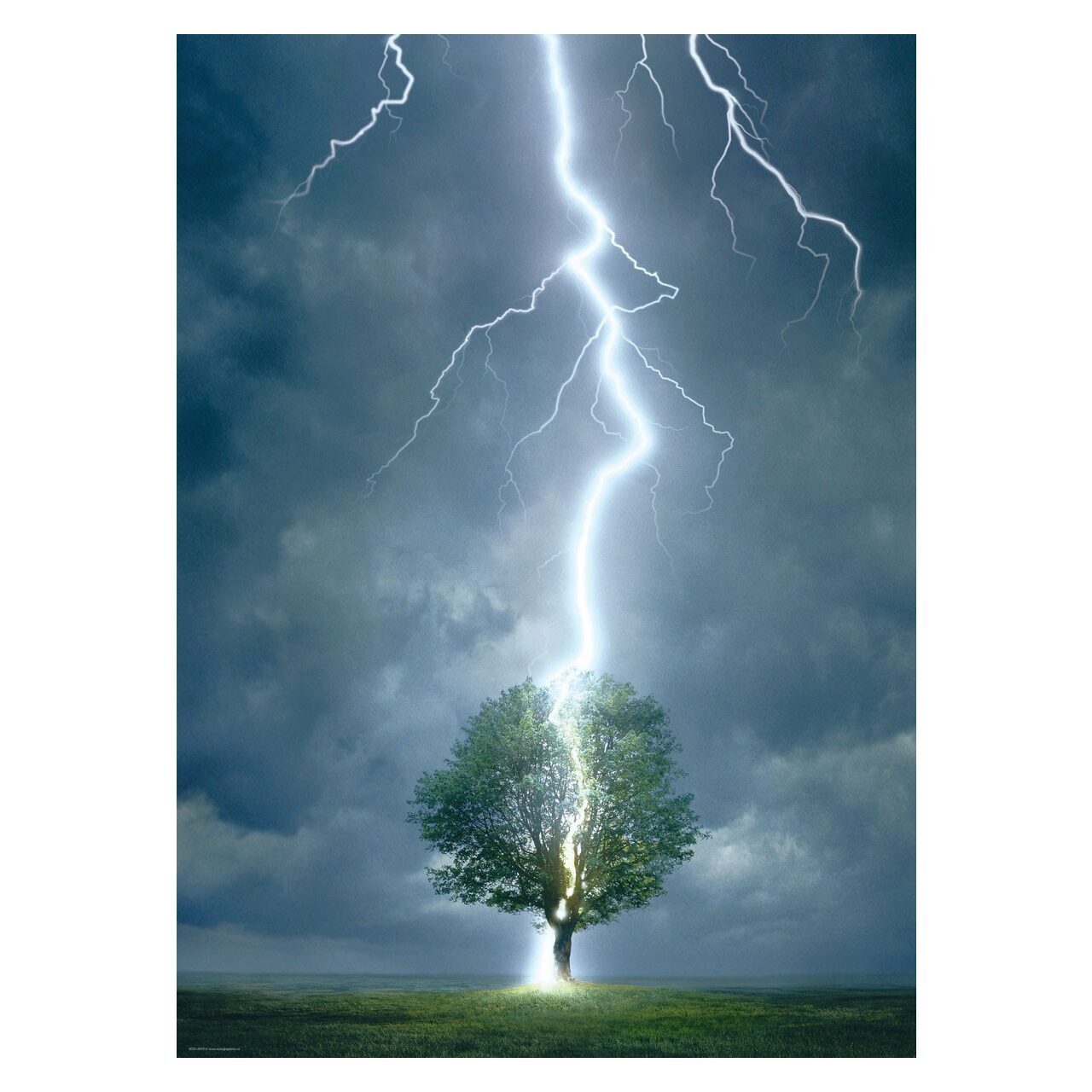 EUROGRAPHICS Puzzle Baum vom Blitz getroffen 1000 Teile 64570