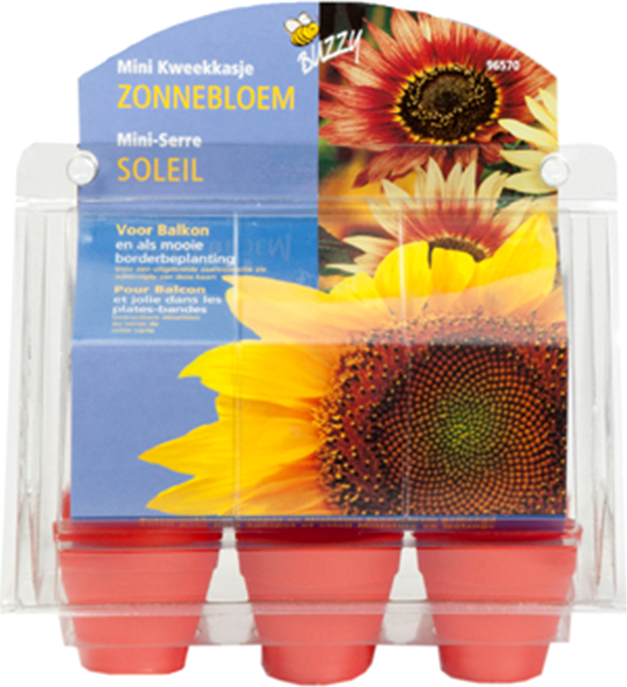 Mini-Gewächshaus Sonnenblumen | Anzuchtsets von Buzzy Gifts 096570-bg