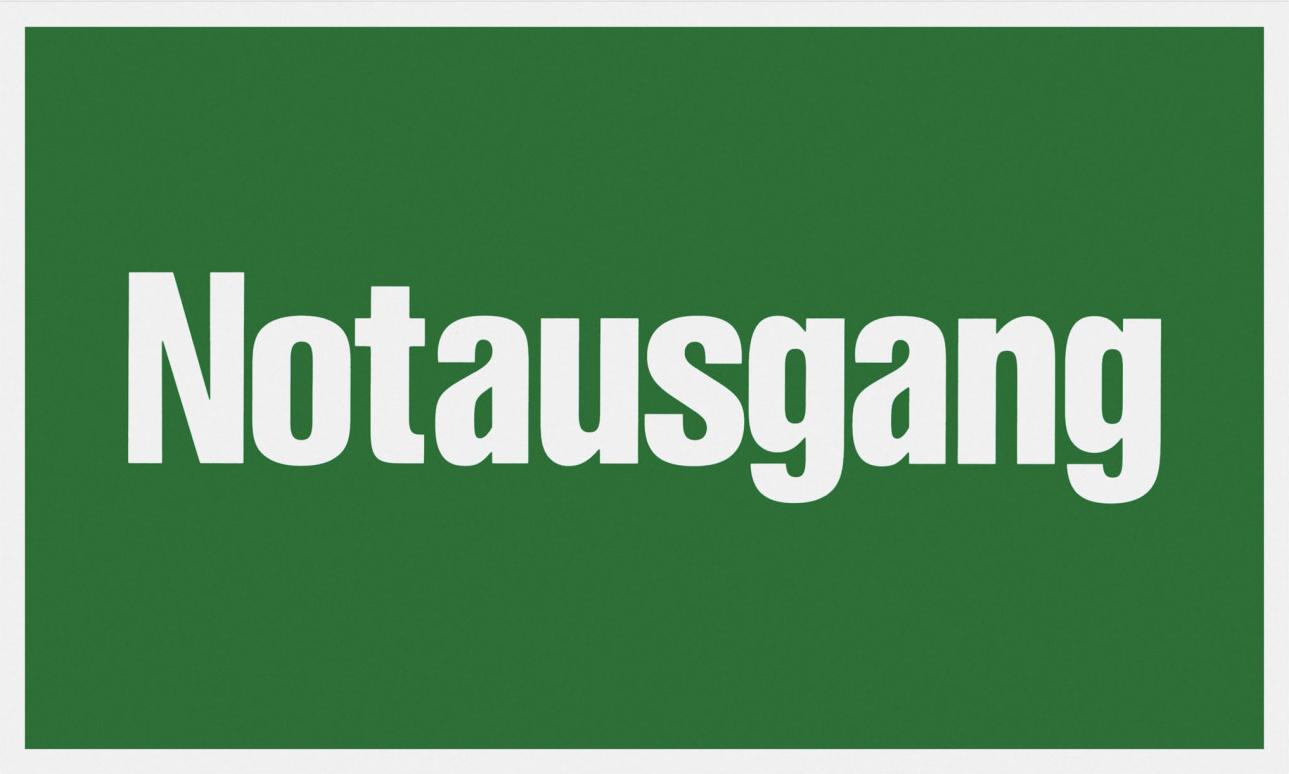 Metafranc Conmetall Hinweisschild Notausgang 25 x 15 cm 756315