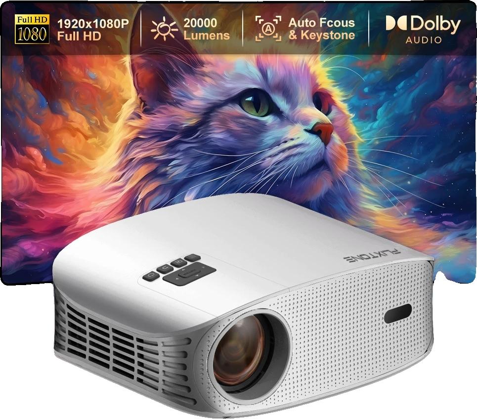 OEM Projektor, 1080P Full HD, WiFi-Konnektivität, D8W 1647