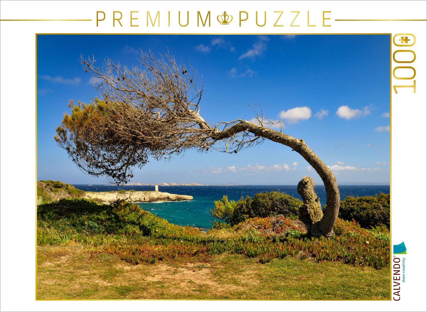 CALVENDO Puzzle Durchhalten! 1000 Teile Puzzle quer | 1000 Teile Lege-Größe 64x48cm Foto-Puzzle für glückliche Stunden