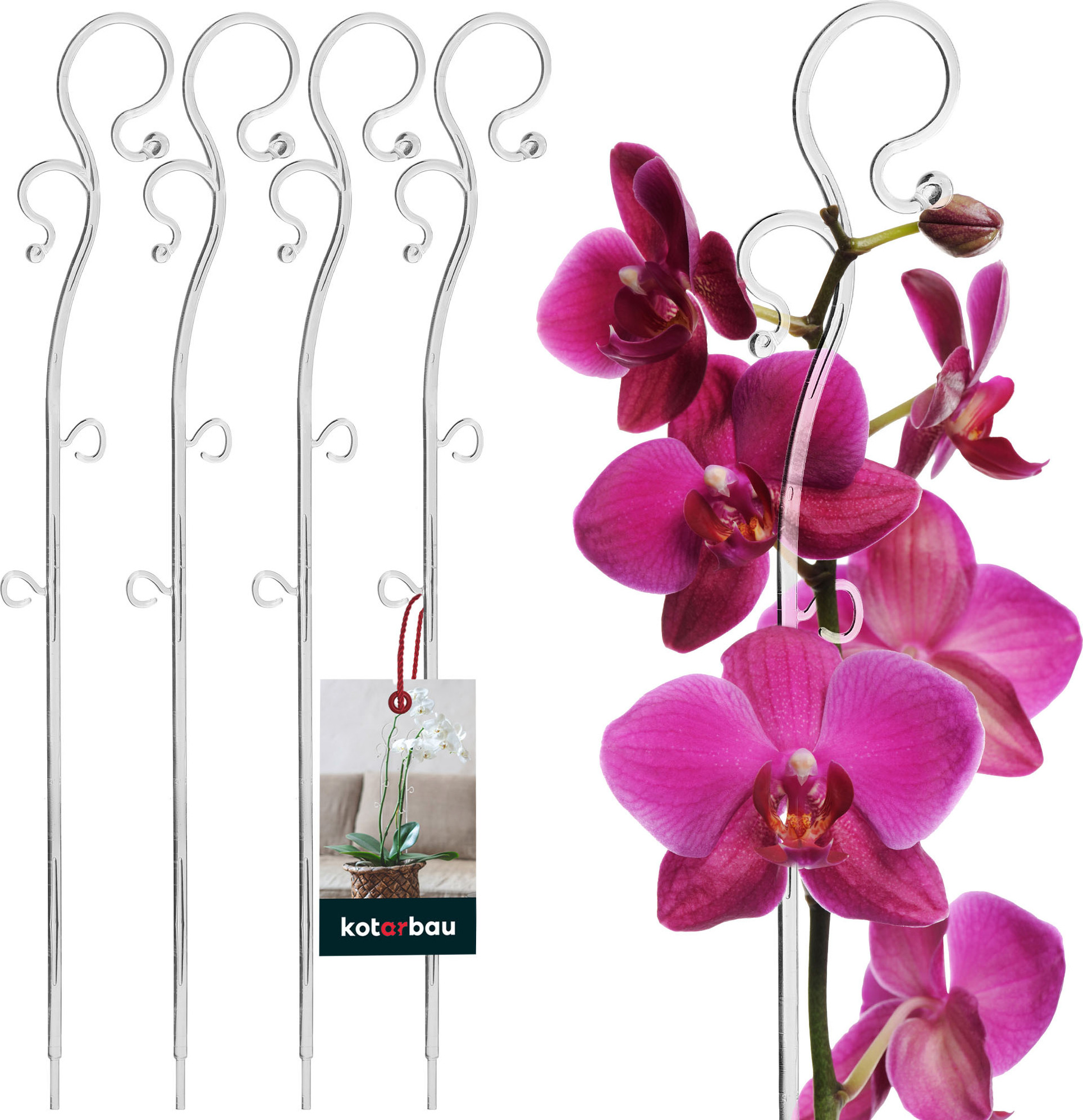 KADAX Pflanzenstütze Aus Stahl – 60 Cm Hoch, Pulverbeschichtet, Wetterfest, Für Rosen & Stauden Im Garten