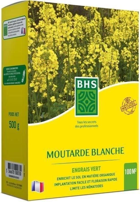Sonstige Gründüngung - BHS - Weißer Senf 500g | 100 m² | Verbessert und desinfiziert Böden für eine bessere Fruchtbarkeit.