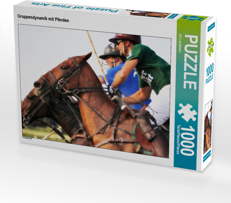 CALVENDO Puzzle Gruppendynamik mit Pferden | 1000 Teile Lege-Größe 64x48cm Foto-Puzzle für glückliche Stunden
