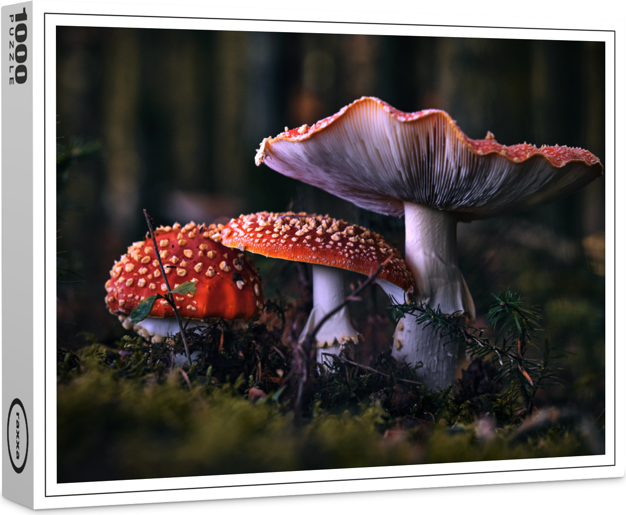 raxxa Premium-Puzzle "Fliegenpilze", 1000 Teile 1-14270-9566-142