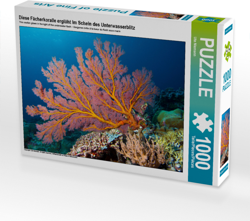 CALVENDO Puzzle Diese Fächerkoralle erglüht im Schein des Unterwasserblitz 1000 Teile Puzzle quer | 1000 Teile Lege-Größe 64x48cm Foto-Puzzle für glückliche Stunden