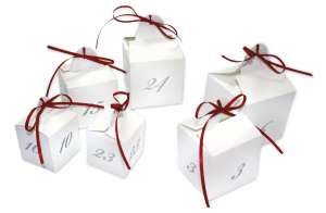 Roth 24 Adventswürfel zum Befüllen 80305