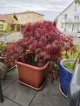 Vom Kunden hochgeladene Foto