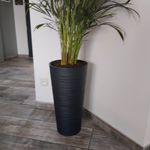 Superbe pot