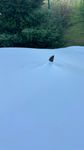 Nekvalitná plachta na auto.