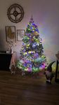 Weihnachtsbaum 