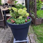 Blumentopf xxl