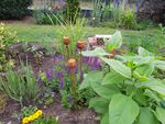 Ein netter Gartenstecker