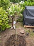 guter Start in unserem Garten