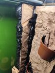 Endlich Mal was für das Aquarium. 