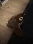 Kleiner Vogel