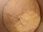 C4 Booster hinbeere
