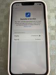 Display iPhone 13