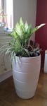 PflanzenArrangement 