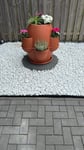 Klasse Blumentopf 