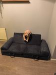 Tolles Spielsofa