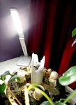 LED Lampe 