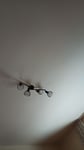 Cooles design