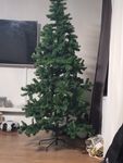 Wunderschön 