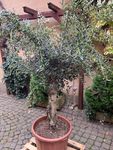 Top, gerne wieder!