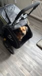 Toller Hänger 