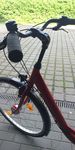 Gesucht und gefunden 