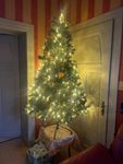 Weihnachtsbaum 