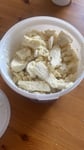 Gut