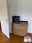 Zählen Sie vor dem Sammeln