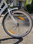 Ein günstiges aber schönes Fahrrad 