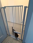 Perfekt für eine Katzenzusammenführung