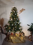 Joli sapin réaliste