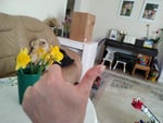 Hallo zusammen. Alles super  danke schön 