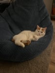 Wir lieben den Sitzsack! 