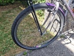 Hervorragender Reifen für Commuter