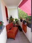 Eine Bereicherung für meinen Balkon!
