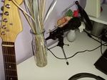 Mikrofon 